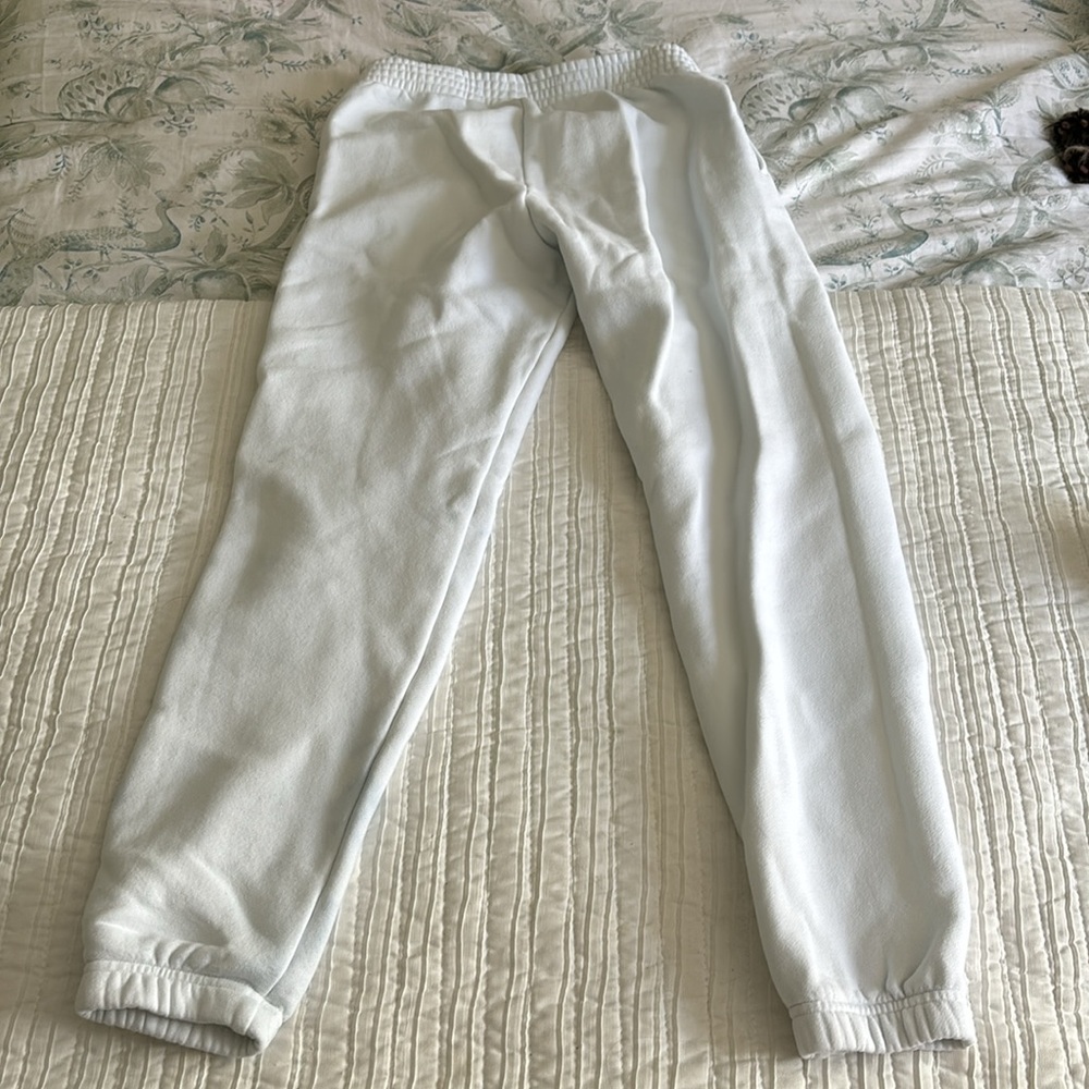 aritzia sweatpants